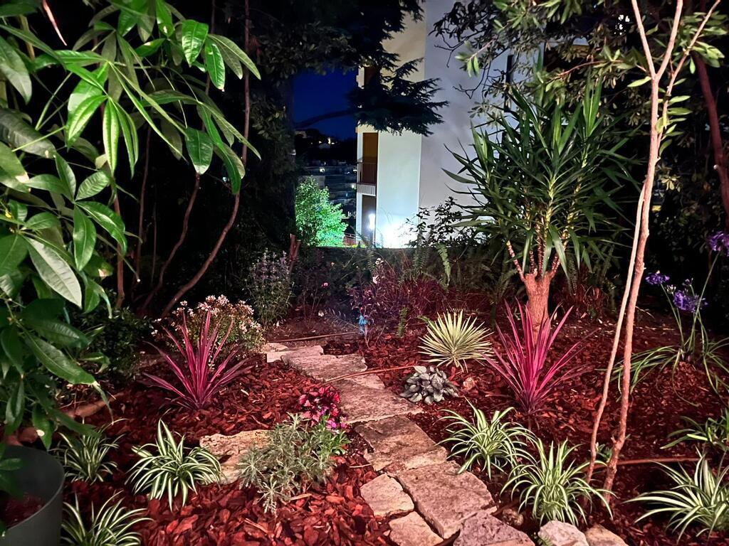 Garden at night