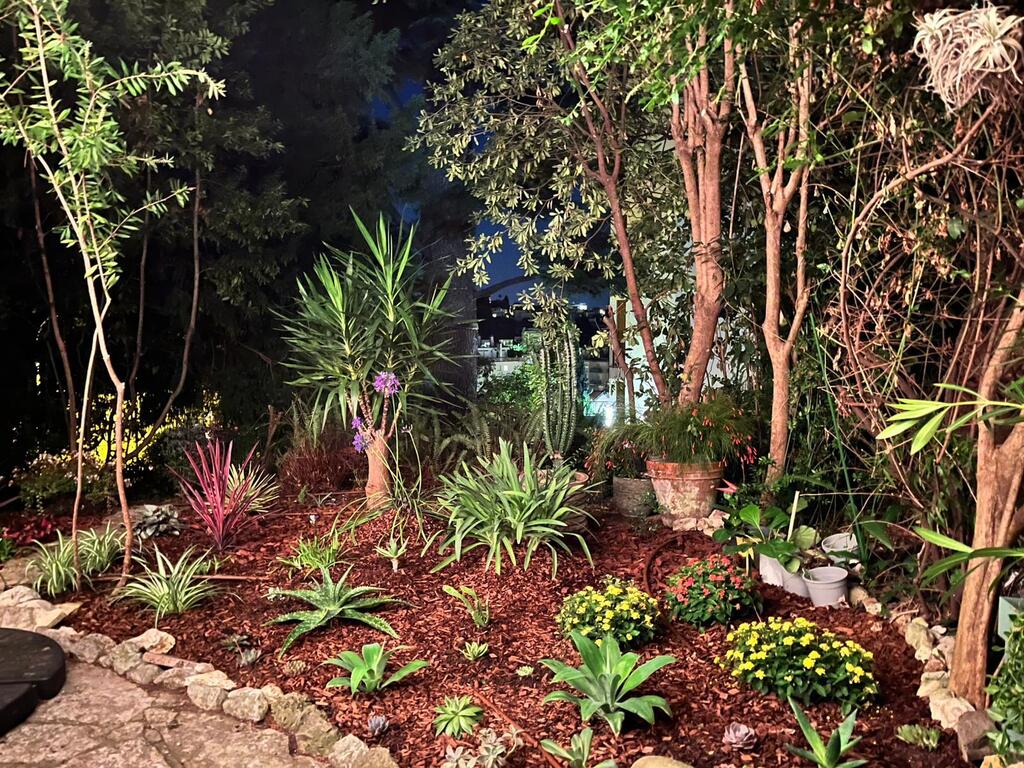 Garden at night