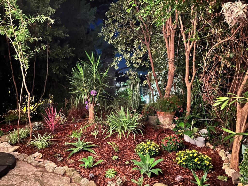 Garden at night