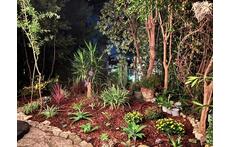 Garden at night