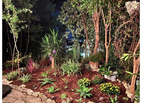 Garden at night
