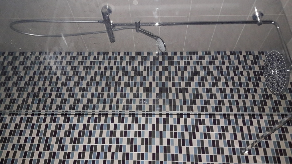 douche / shower in the bathroom