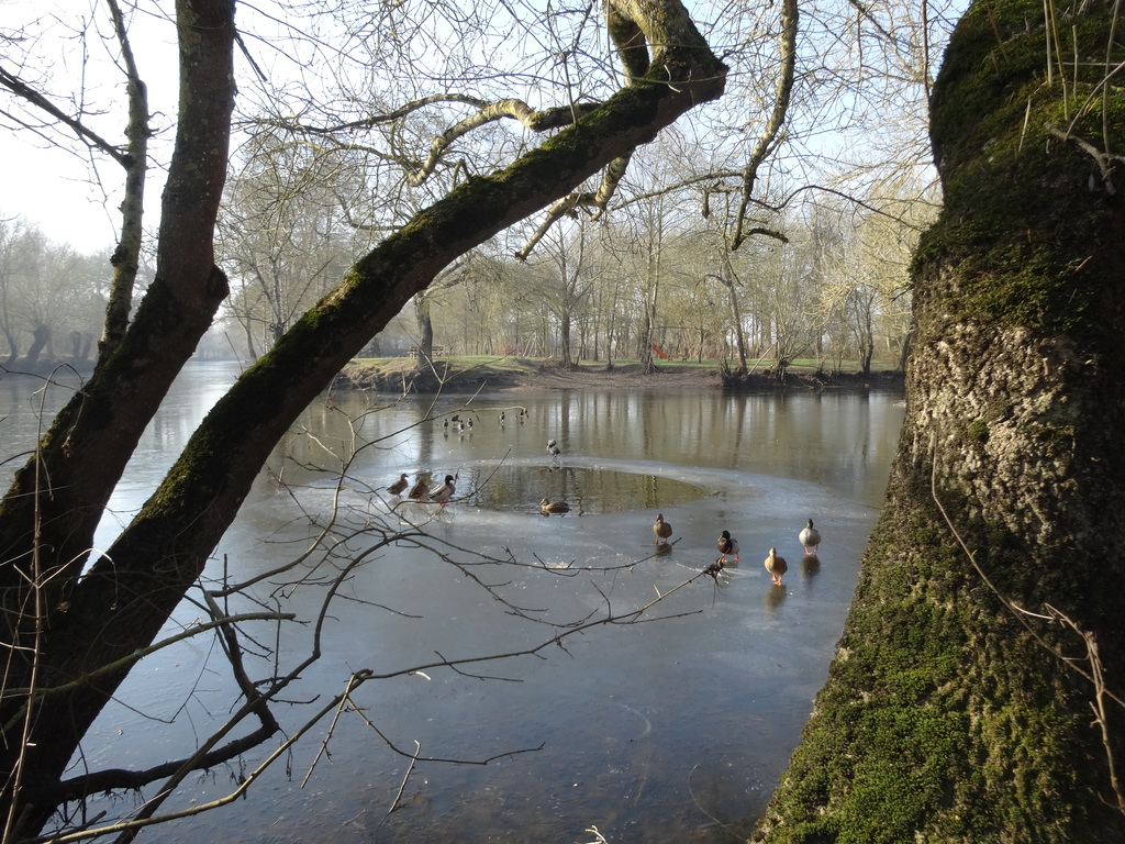boire Ste Catherine, near our vilage with a little playground