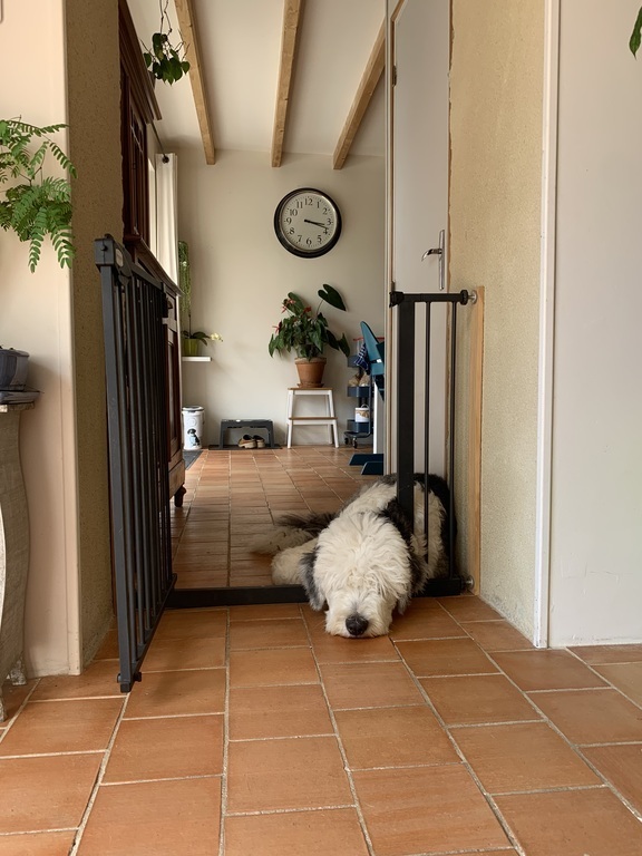 From living room to the kitchen : best place to sleep !