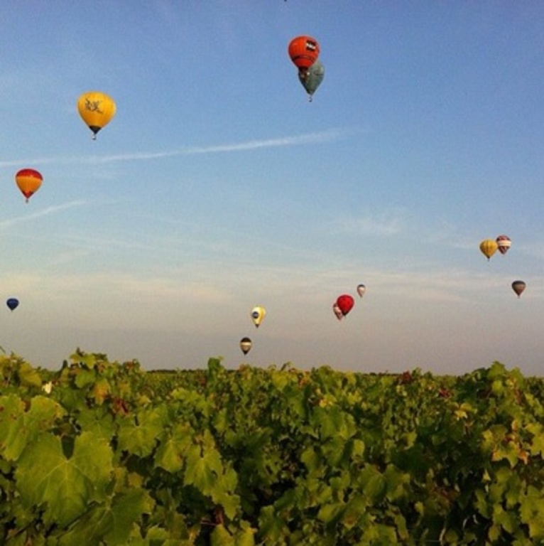 Loire vineyard and hot air balloon