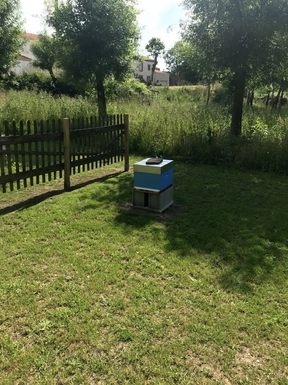 One hive in our 2nd garden