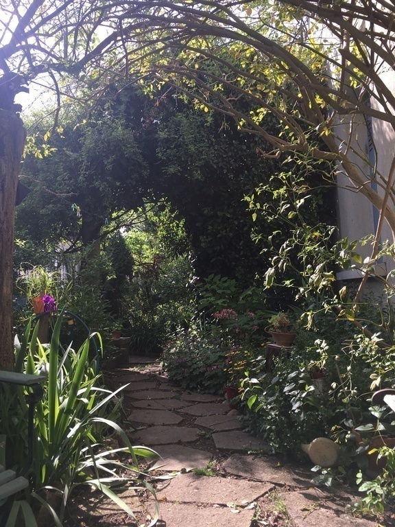 front garden in the spring