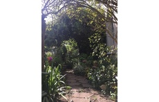 front garden in the spring