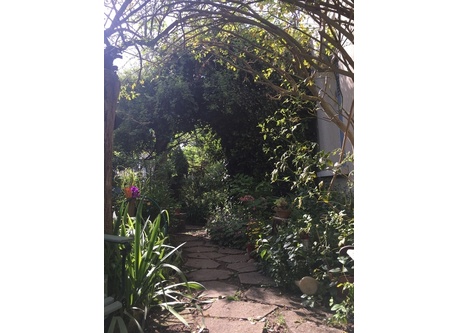 front garden in the spring