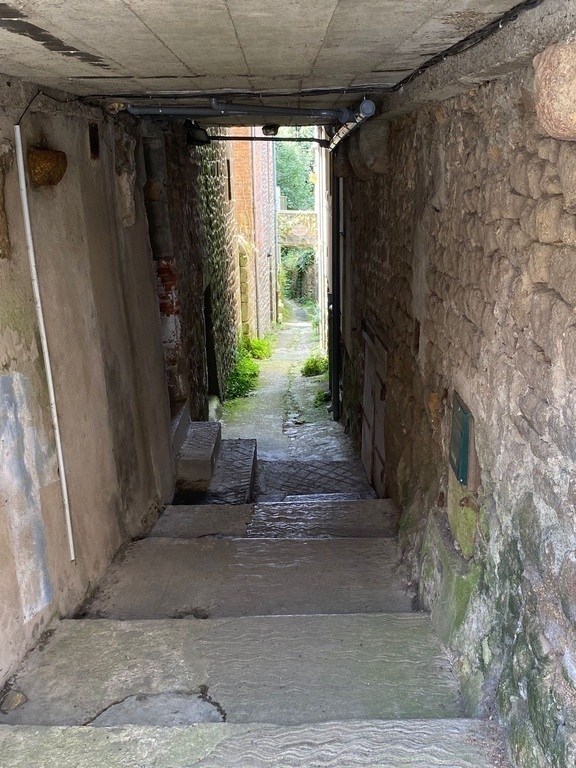 Secret passage to the lake