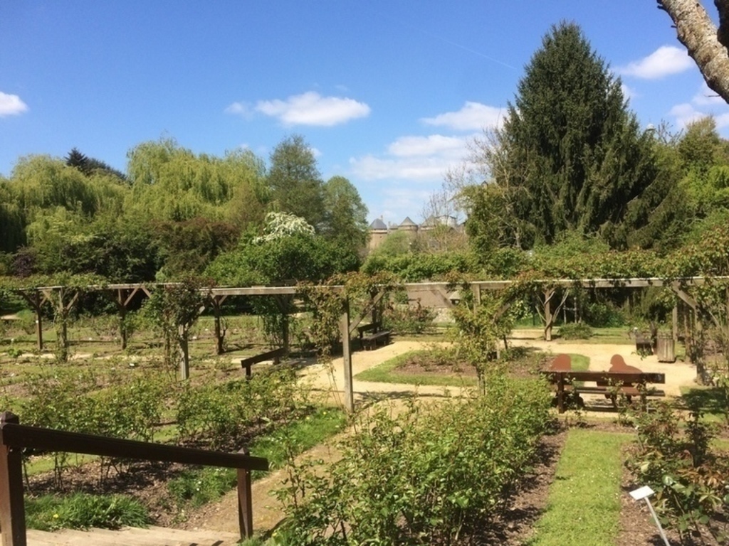 Lassay rose garden