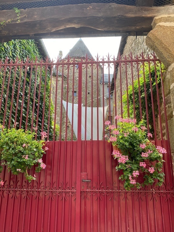 A glimpse into the courtyard