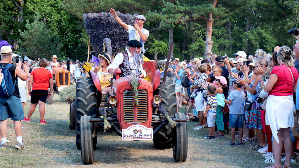 Lavenders fest (July and August in several villages)