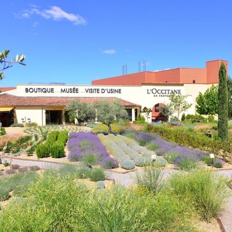 Cosmetics factory famous brand