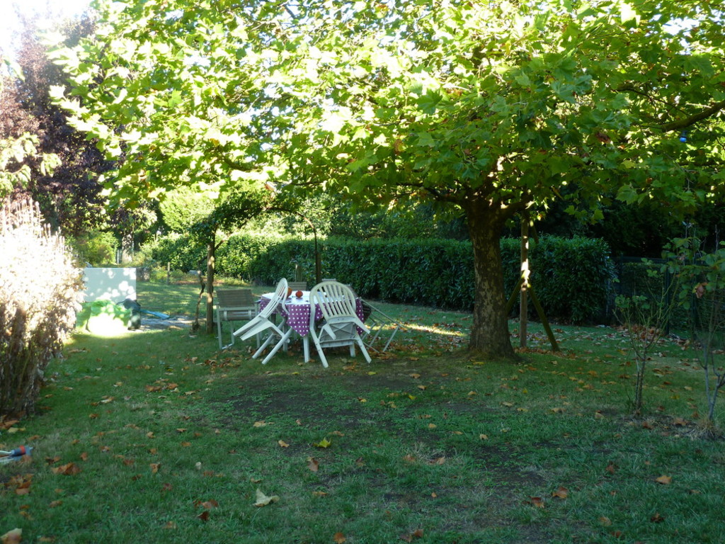 jardin à l'arrière de la maison