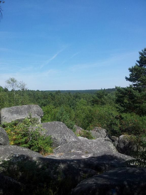 Rocks in the forest of Fontainebleau