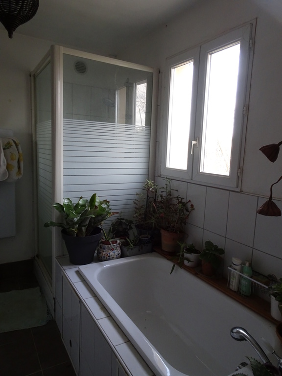 plants are inside in the bathroom because they can freeze outside