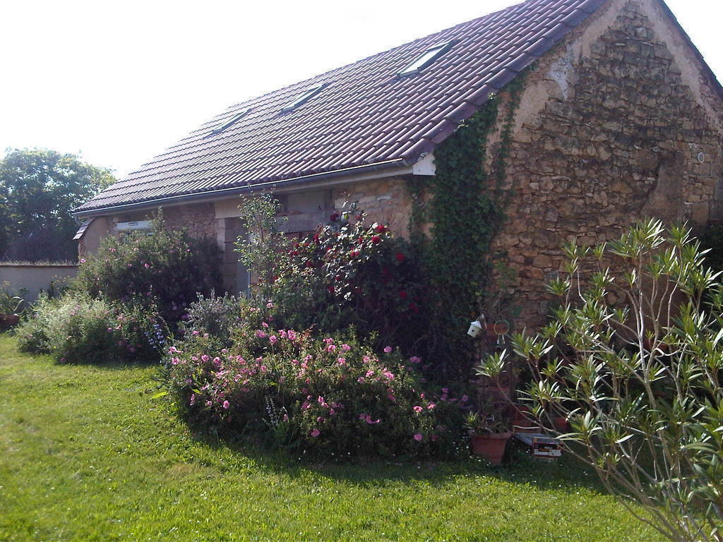garden in front of our house near an old barn