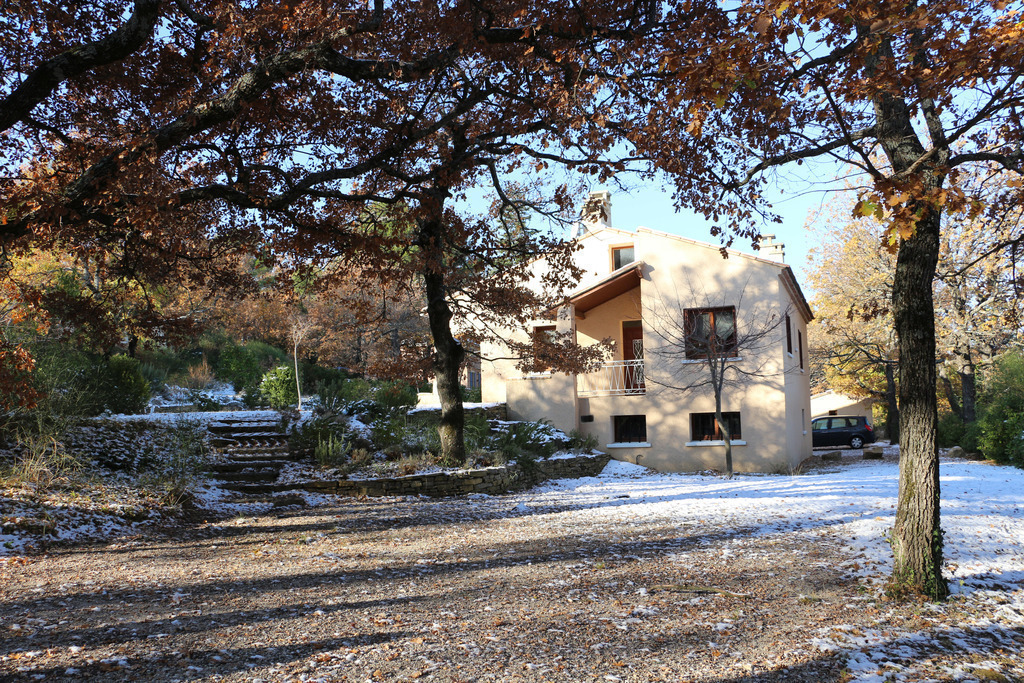 the house in winter