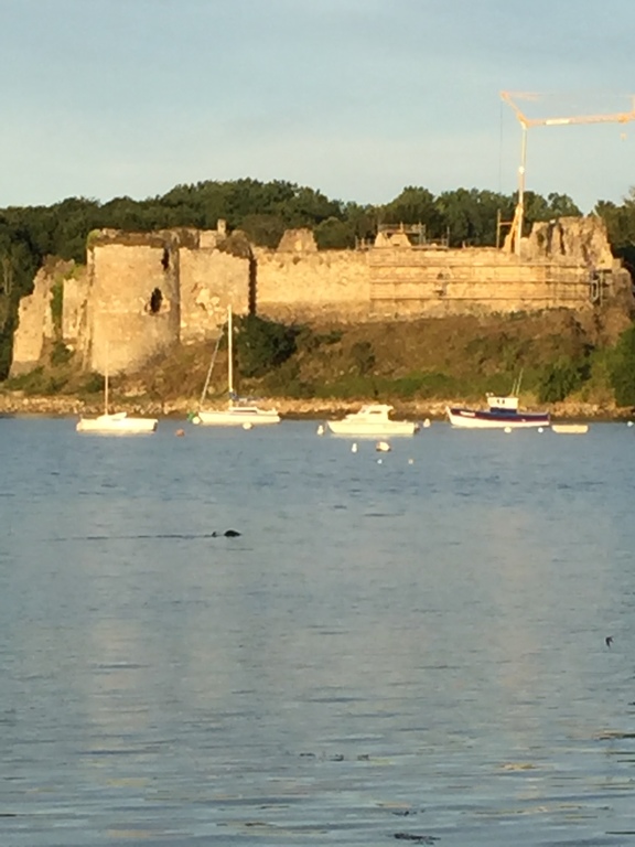 Le château du guildo (200m de la maison)