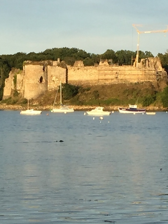 Le château du guildo (200m de la maison)