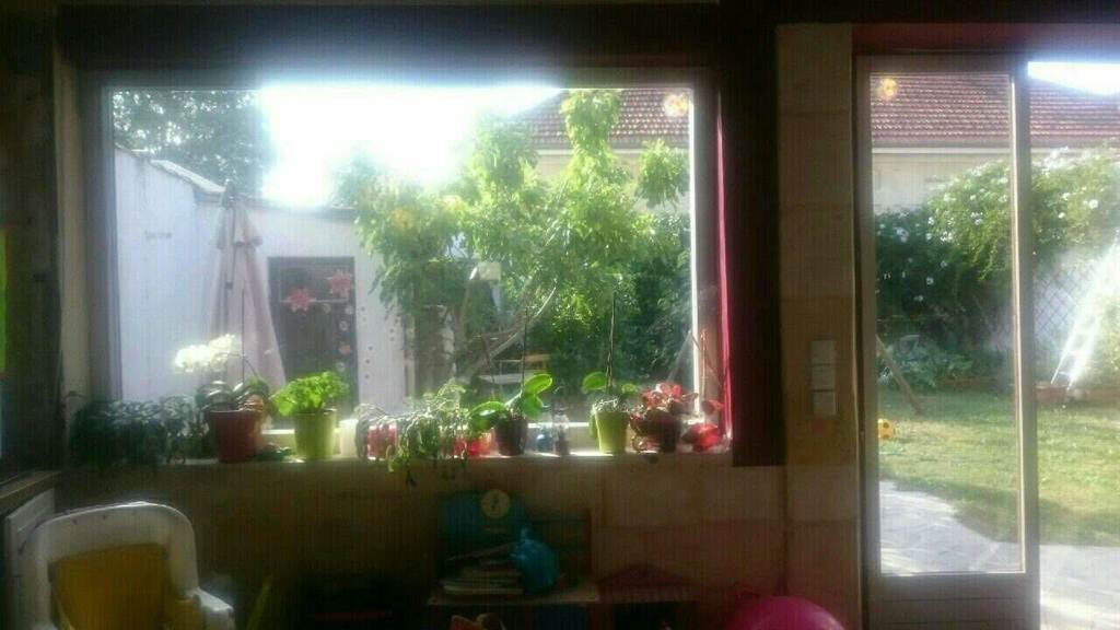 vue du jardin depuis la pièce principale / Blick auf den Garten vom Hauptraum