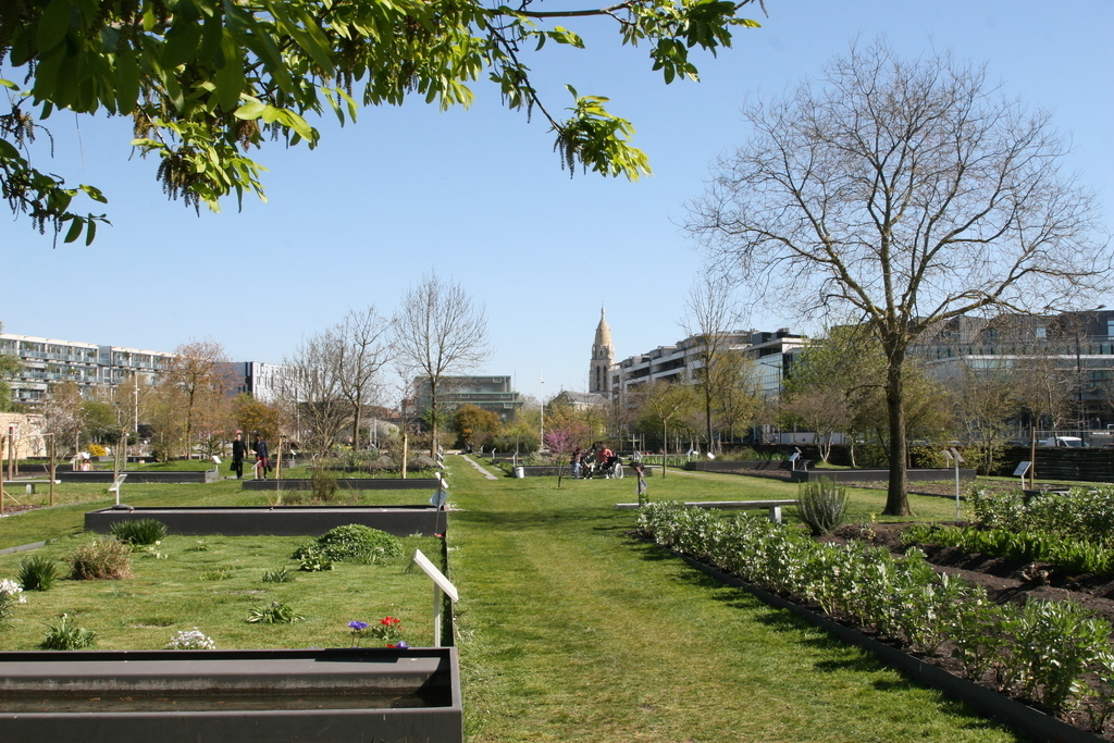 le jardin botanique au bout de la rue / der botanische Garten am Ende der Straße