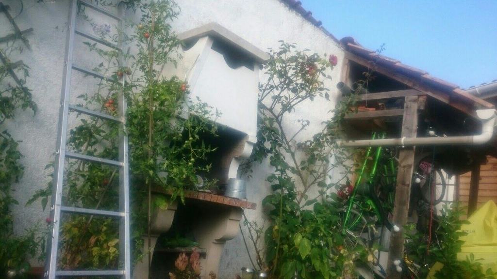L'abri à vélo, les tomates et le barbecue / Bike Shelter, Tomaten und Grill