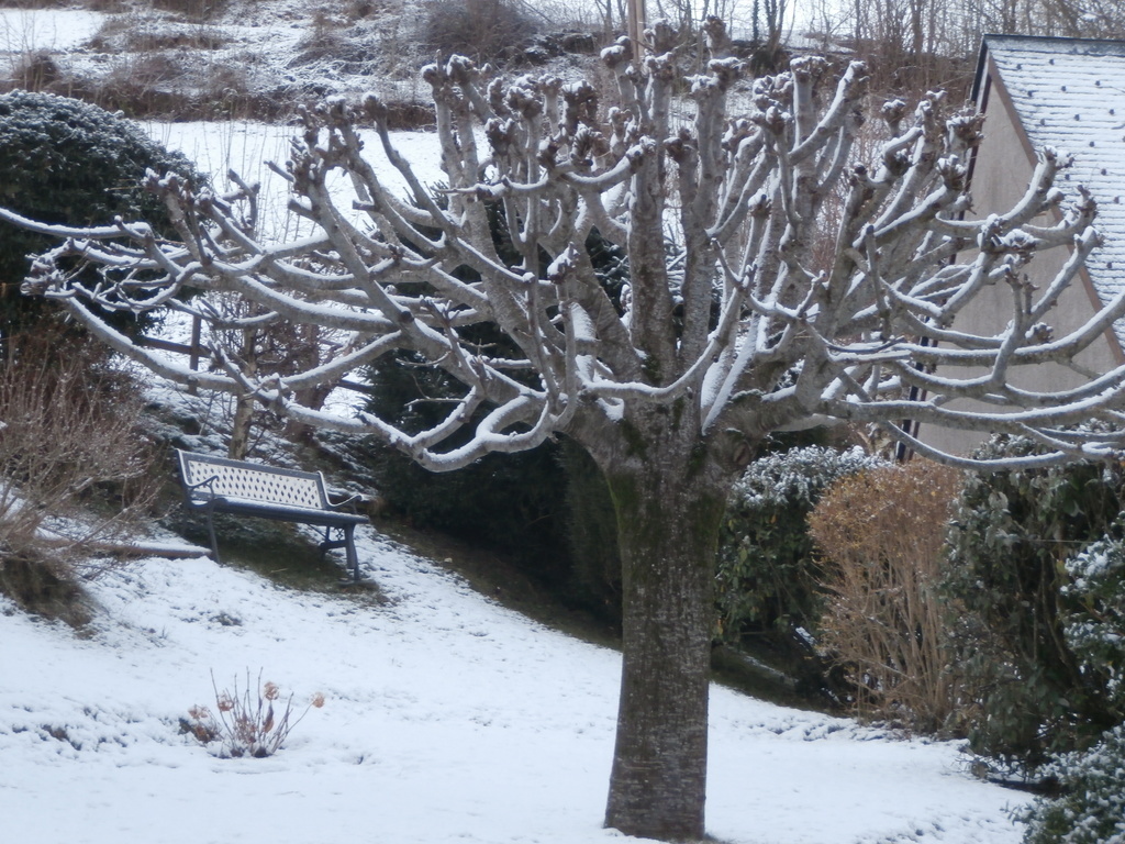 le jardin / the garden 