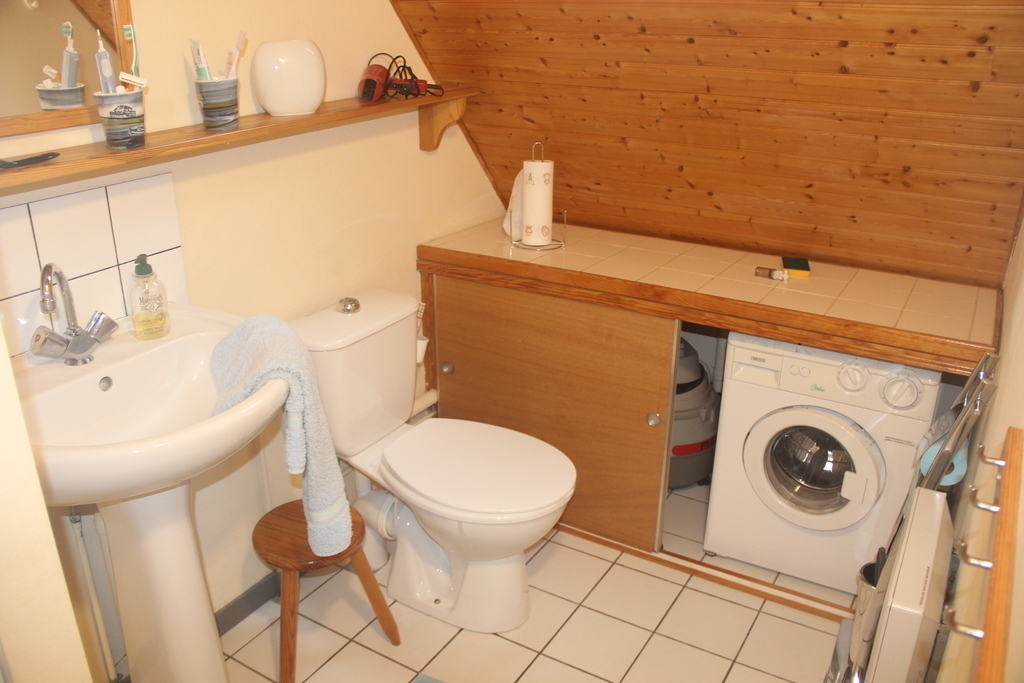 salle d'eau / shower room