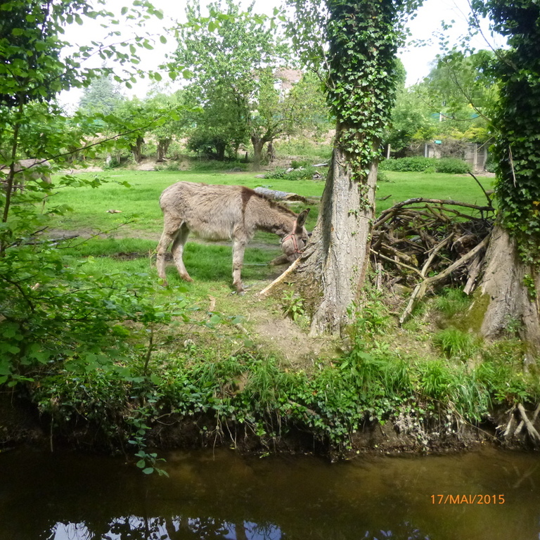 Peaceful park close to our house - 12 minutes by walk
