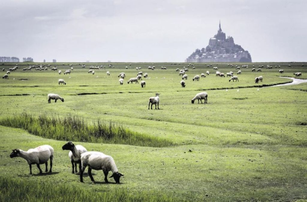 Mont Saint Michel only 1h30 by car
