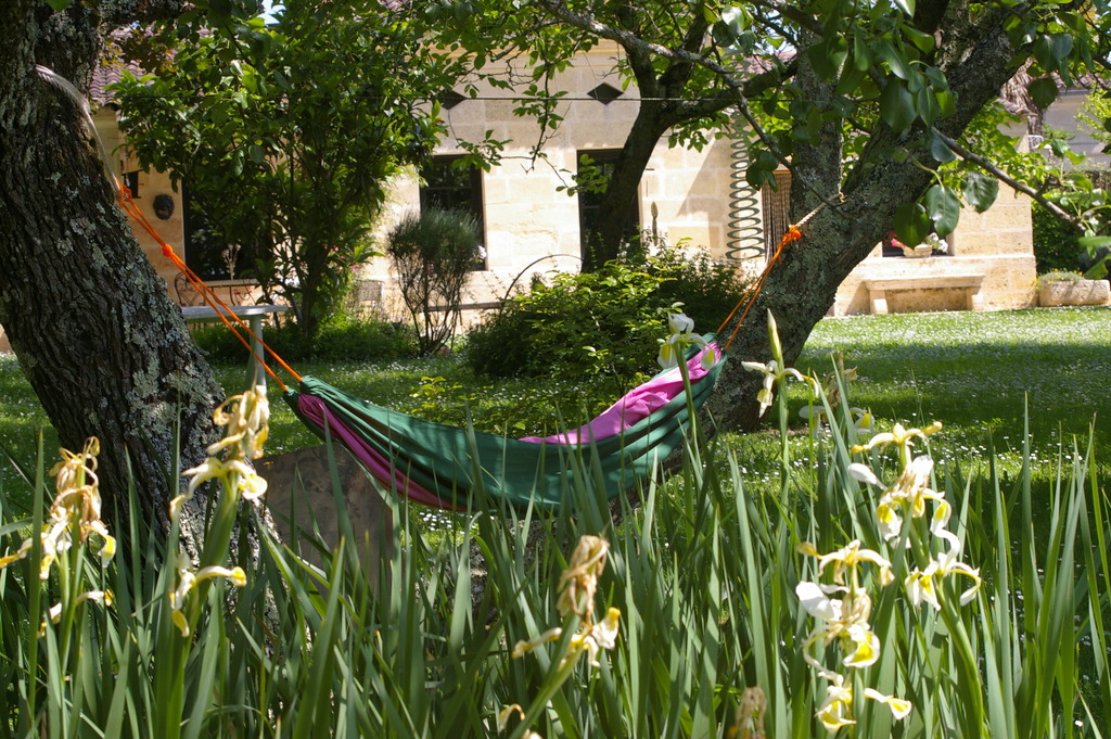 Maison dans parc fleuri
