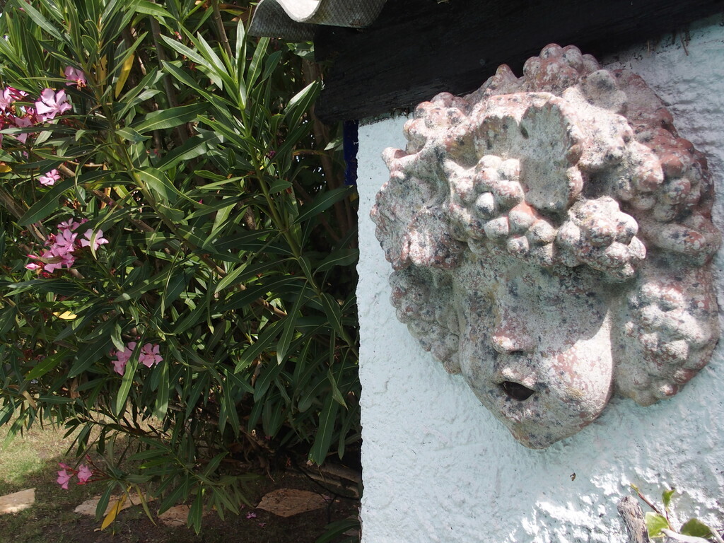 Sous les auspices de Bacchus