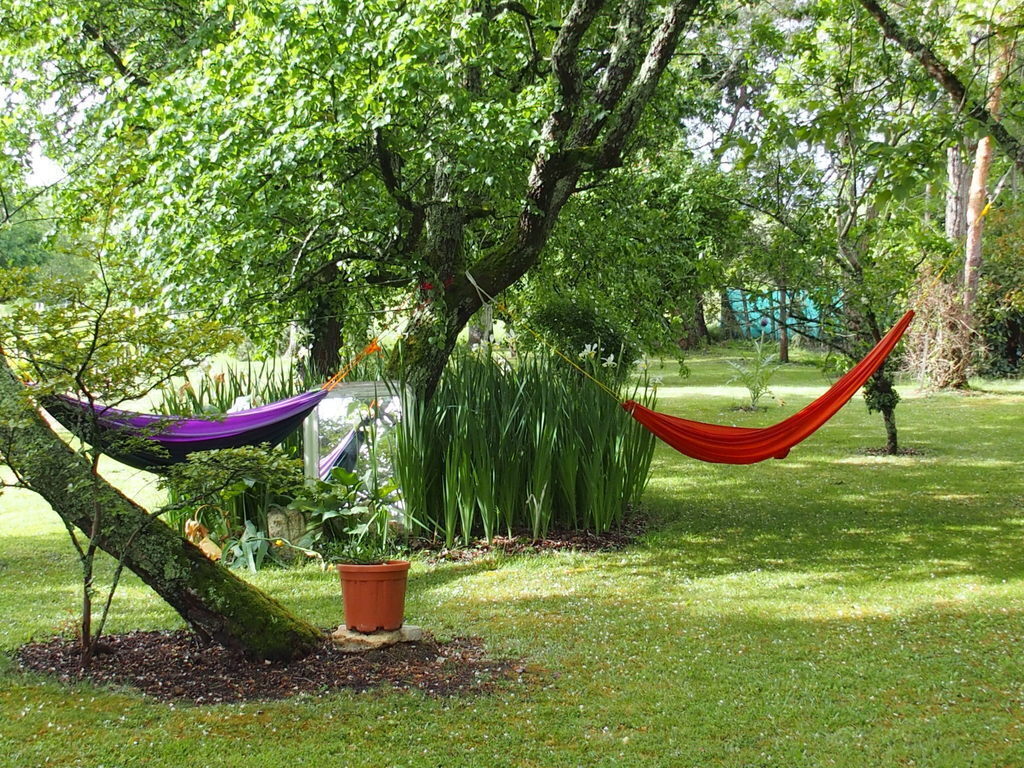 Hamacs au vent