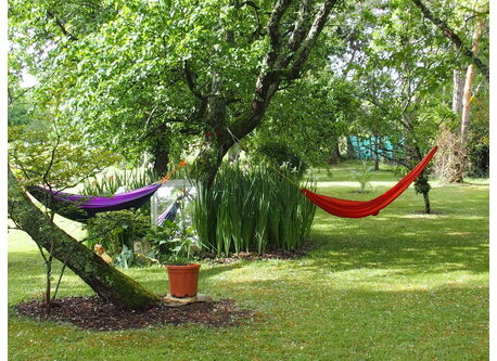 Hamacs au vent