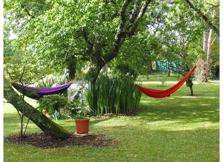 Hamacs au vent