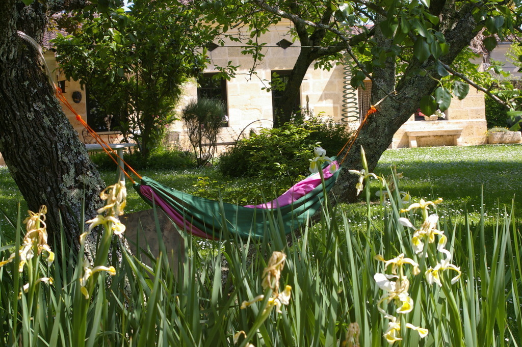 Maison dans parc fleuri