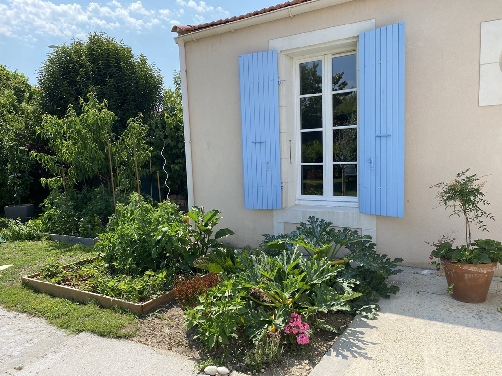 Le potager (tomates, courgettes...)