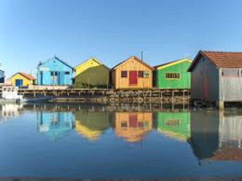 Les cabanes du Château d'Oléron (1 heure)