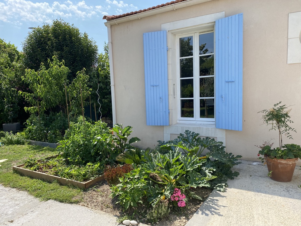 Le potager (tomates, courgettes...)