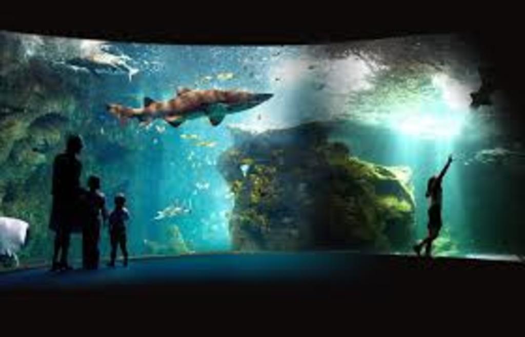 Aquarium de La Rochelle