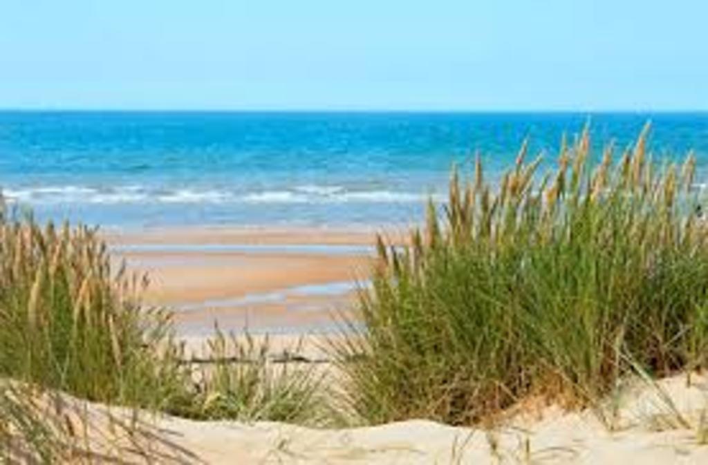 plage de l'Ile d'Oléron 