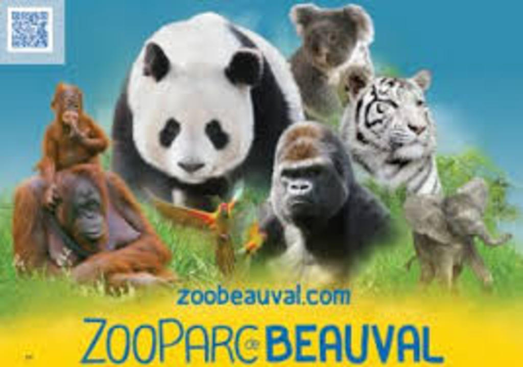 The most and beautiful zoo in europe, zoo de Beauval.