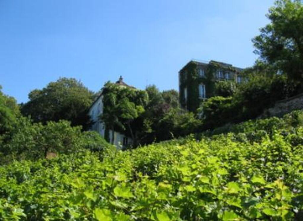Vineyards, Montmartre, Paris