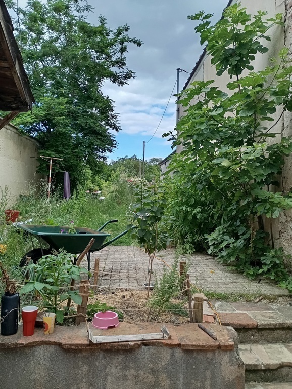 Le jardin / The garden