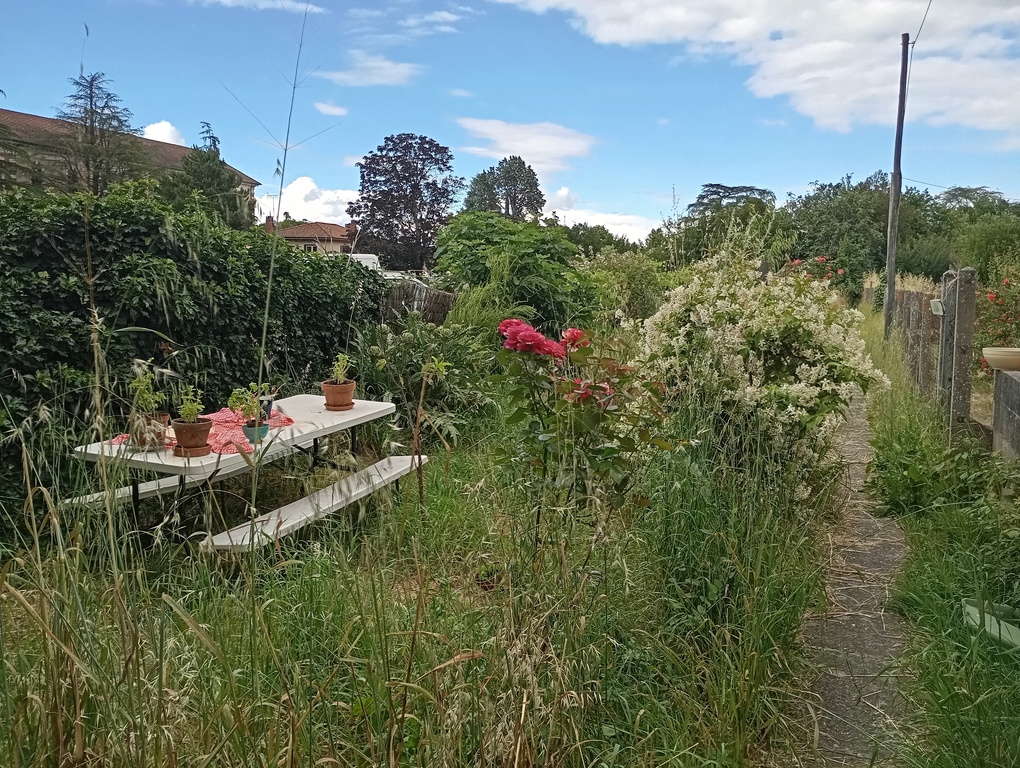 Le jardin / The garden