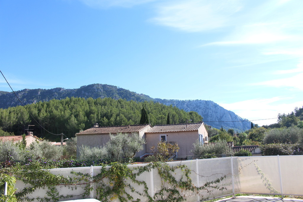 View of the house environment (South)