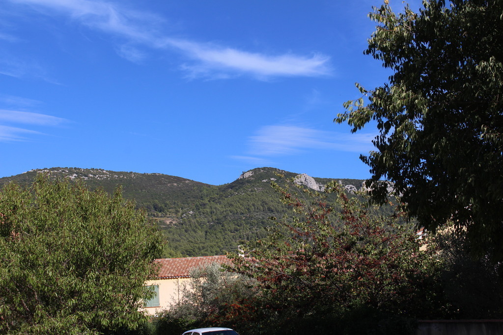 view of the house environment (North)