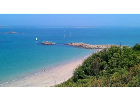 Looking for one or 2 weeks